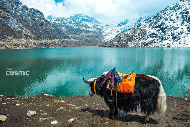 Travel Cosmic-Sikkim